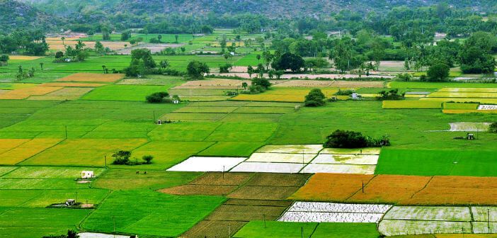 Agricultural farm lands India