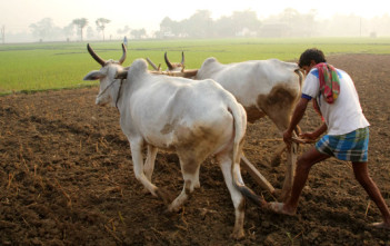 India Agricultural Land featured image factly