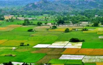 Cultivable land down by 12 lakh Hectares_factly.in