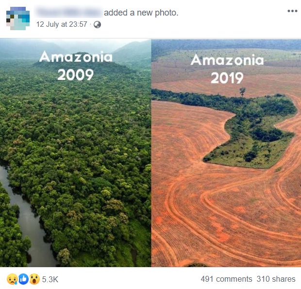 A 04 Deforestation Photo In The Amazon Forest Is Falsely Shared As A 19 Image Factly
