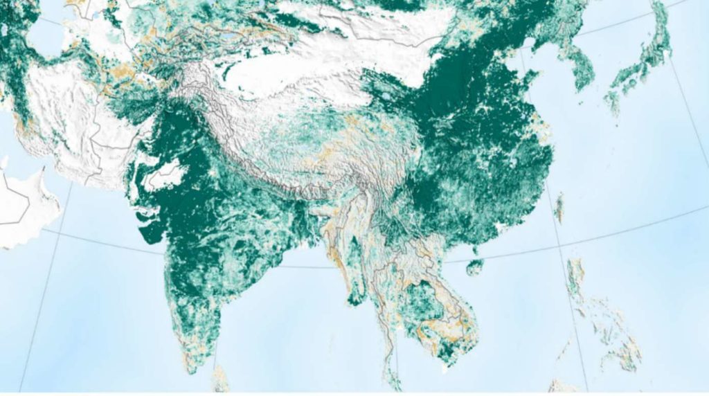 India's forest cover increase_featured image