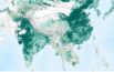 India's forest cover increase_featured image