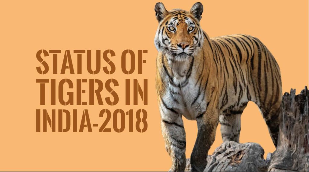 Tiger population in India_Featured Image