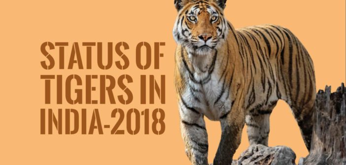 Tiger population in India_Featured Image
