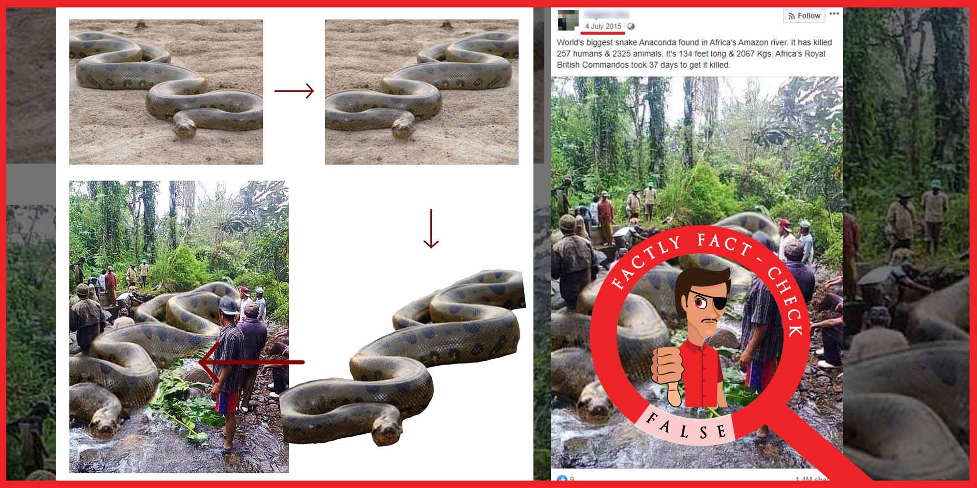 A Photoshopped Image Is Being Shared As That Of The World S Biggest Anaconda Snake Factly
