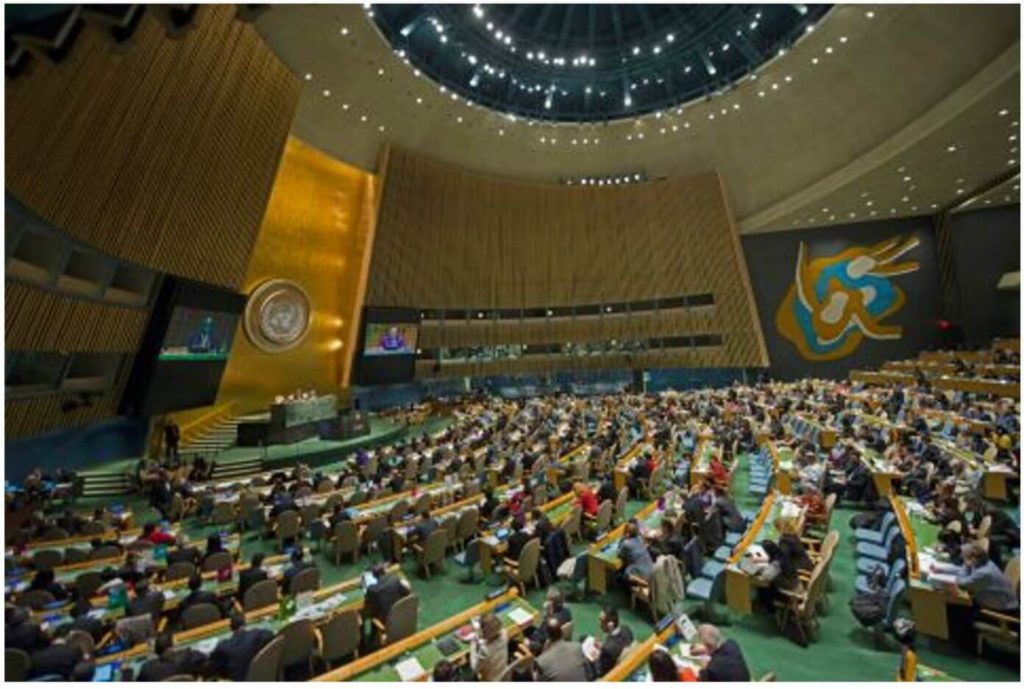 United Nations General Assembly_image