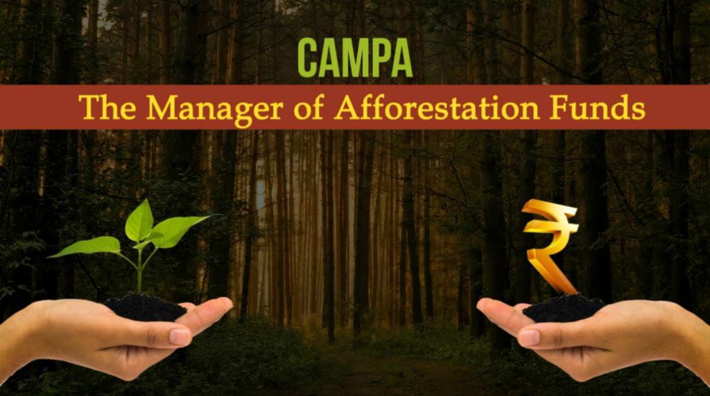 CAMPA Funds_Featured Image