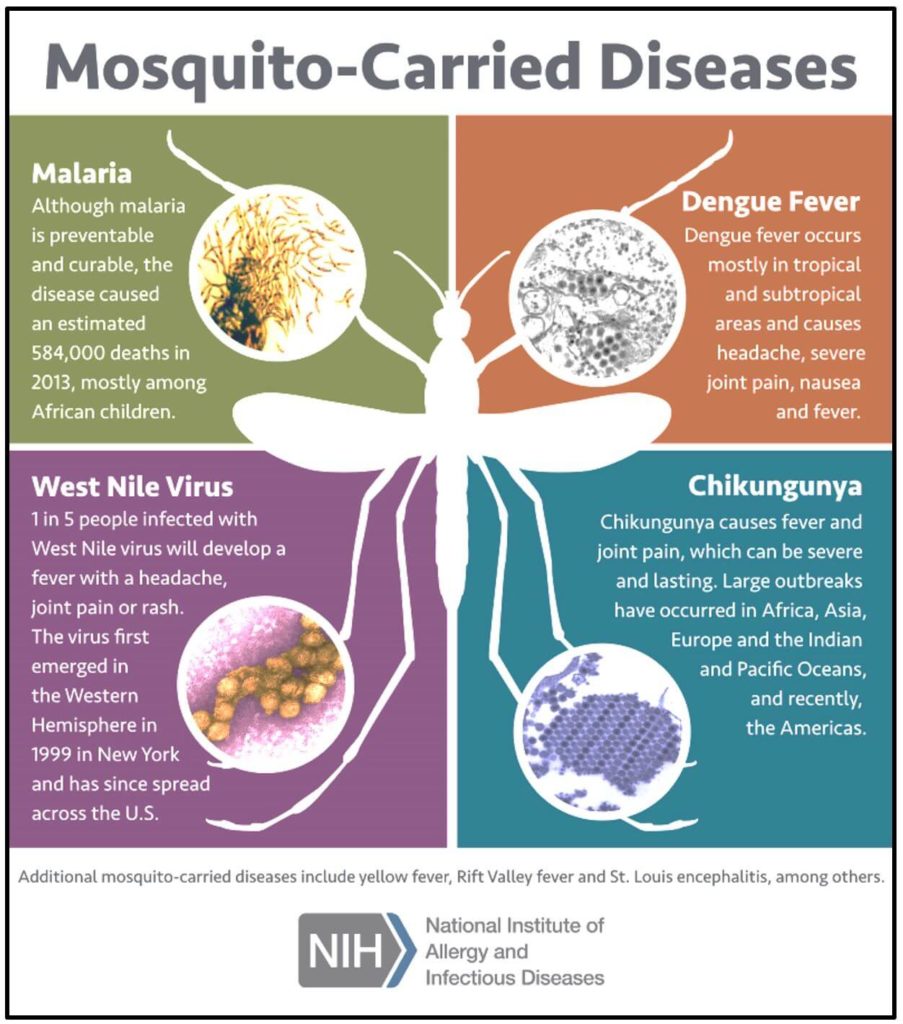 outbreaks in India_mosquito carried diseases in India