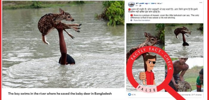 Images of a Bangladeshi boy rescuing a fawn portrayed as the Bahubali of Assam
