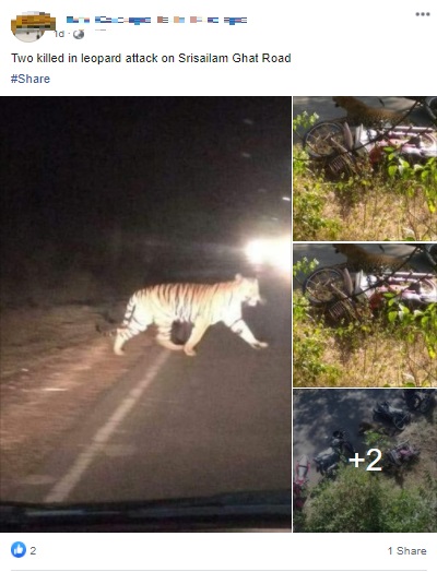 Photos of the Leopard attack in Maharashtra from 2018 is falsely shared as  the attack on Srisailam ghat road - FACTLY