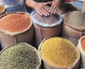 Is India Eating Better? New Nutrition Data Reveals Mixed Trends