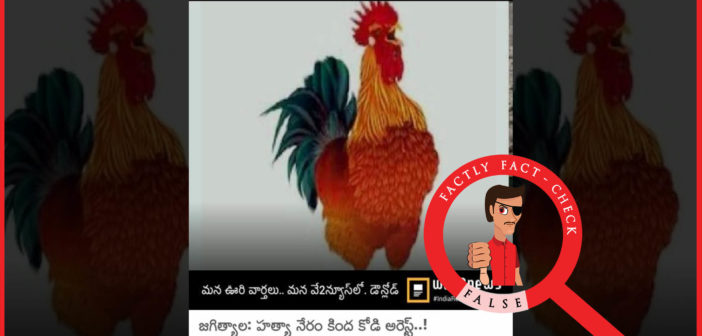 తెలంగాణలో హత్యా నేరం కింద ఒక కోడిని పోలీసులు అరెస్ట్ చేయలేదు; దర్యాప్తులో భాగంగా సంరక్షిస్తున్నారు