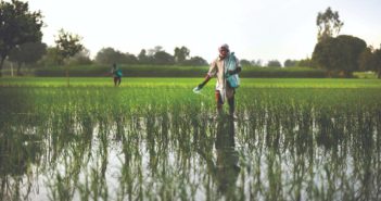 Data: ₹2.08 Lakh Crores Paid in Claims Across all Crop Insurance Schemes in India Since 1985