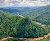 Data: Government reports a reduction in Forest Land encroachment, while questions remain over data reliability