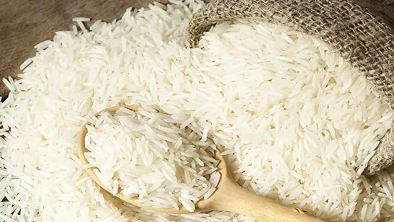 rice trade featured image