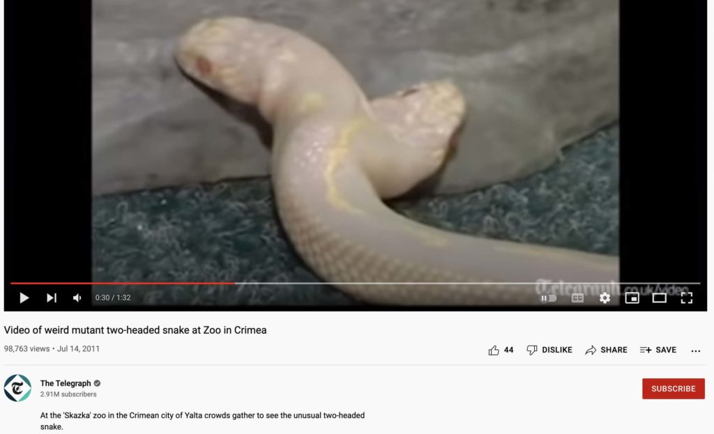 An edited photo is falsely shared as the visual of a two-headed white snake  - FACTLY