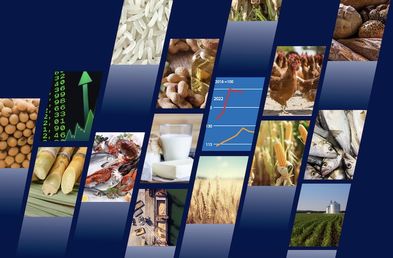 Featured image world food outlook