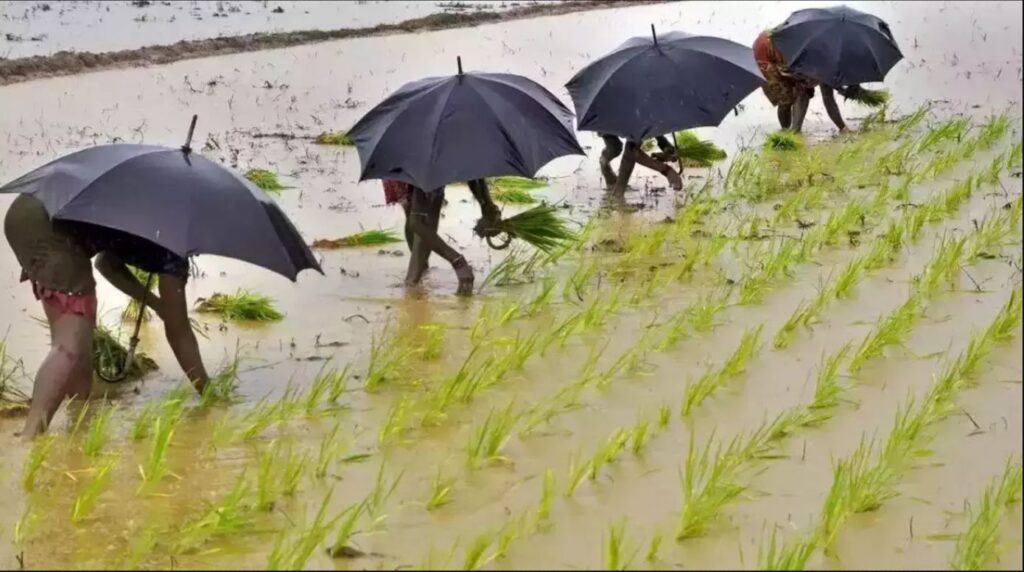 Monsoon Rainfall_Featured Image