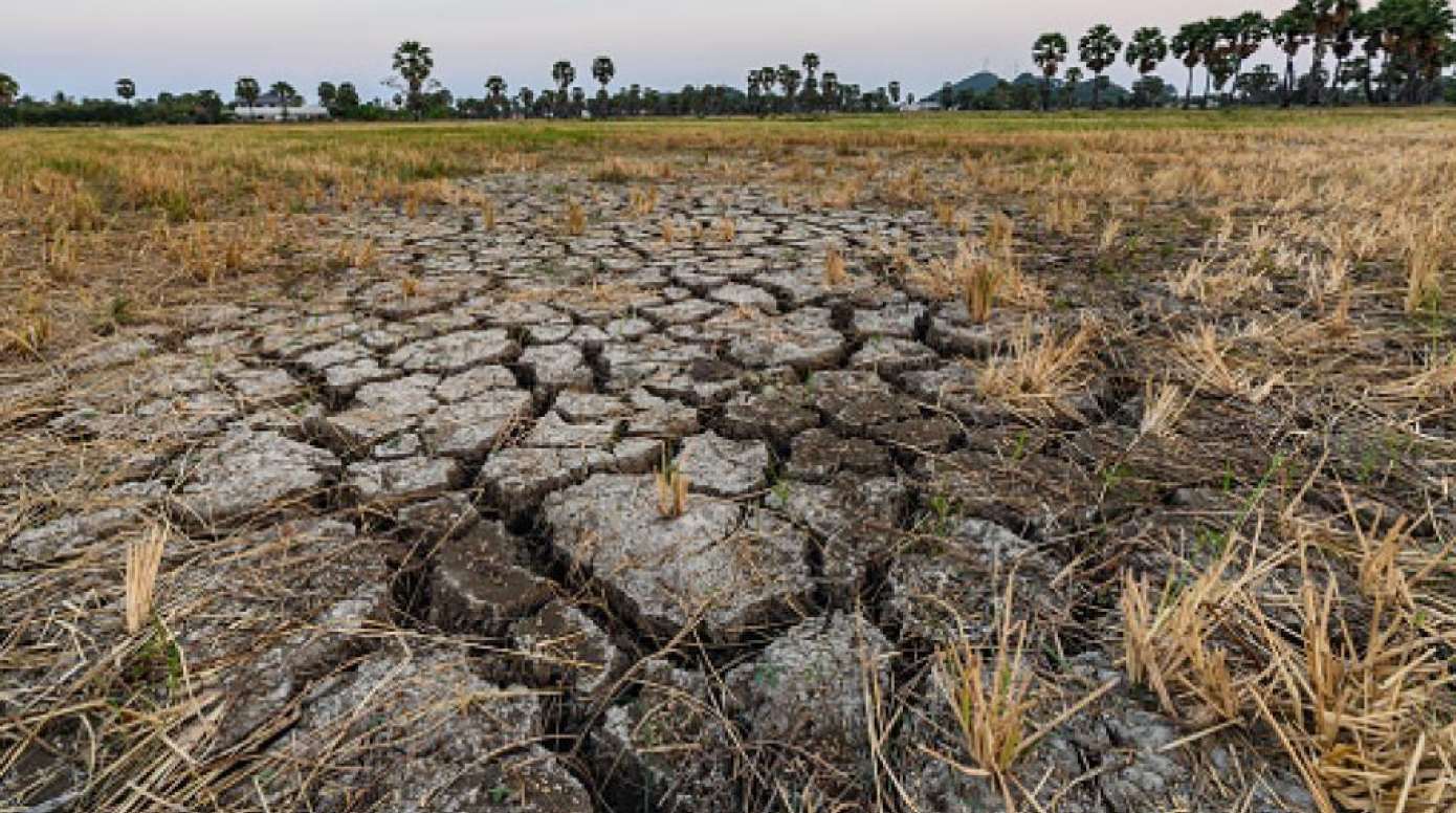  Land Degradation in India over 90 Million Hectares