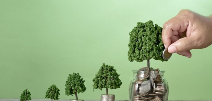 Data: Average Monthly SIP Contribution Increased More Than Sixfold Between 2016-17 and 2024-25