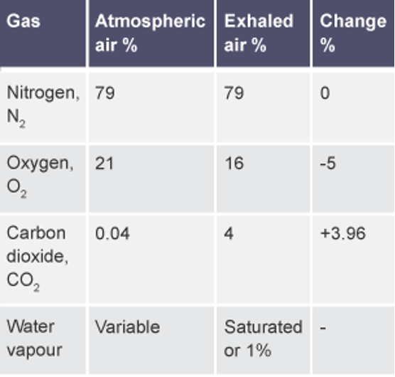 Table with 4 colums and 4 rows. The columns are labelled Gas, Atmospheric air %, Exhaled air %, and Change %. The rows are labelled Nitrogen, Oxygen, Carbon dioxide, and Water vapour.