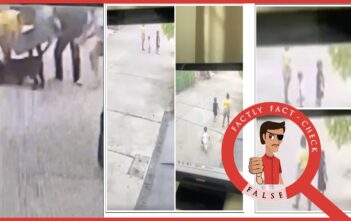 An old video of a dog attacking a child in Pattaya, Thailand, is falsely shared as an incident from Delhi
