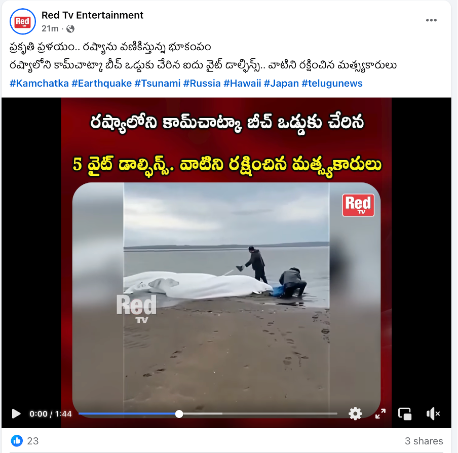 A screenshot of a video AI-generated content may be incorrect.