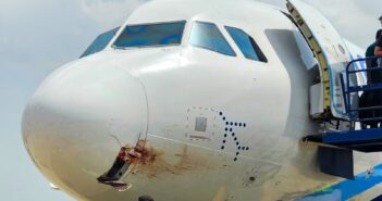 1,100+ Wildlife Strikes in Indian Airports in both 2022 & 2023