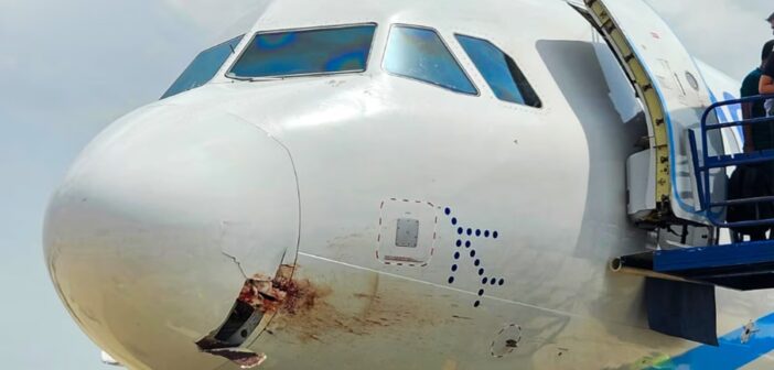 1,100+ Wildlife Strikes in Indian Airports in both 2022 & 2023