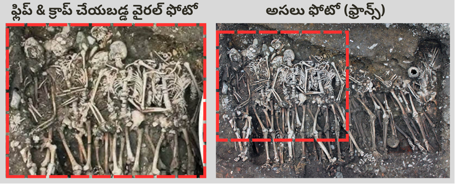 A collage of bones and bones  AI-generated content may be incorrect.