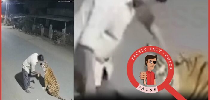 This video of a drunk man petting a tiger in Madhya Pradesh’s Pench area is AI-generated and does not show a real incident.