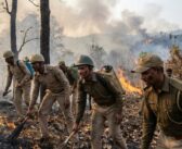 Beyond Forest Cover: India’s Rising Fire Risk in “Extreme” Zones