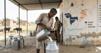 India’s Milk Production: How Much We Produce, Who Produces It, And Who Actually Gets It
