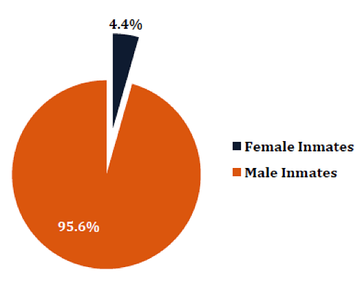 Number of Male vs Female Inmates -  Indian Prisons