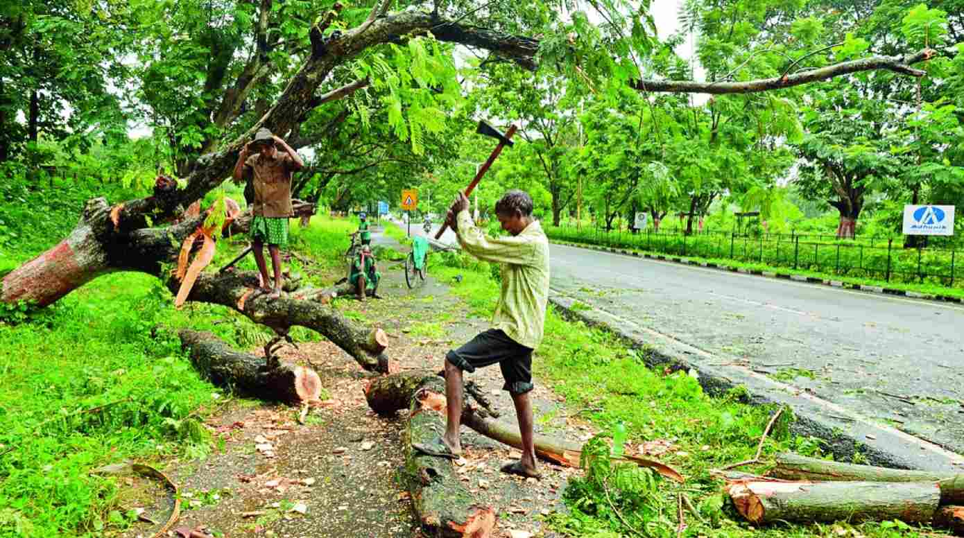 Supreme Court on Cutting of Trees for developmental projects