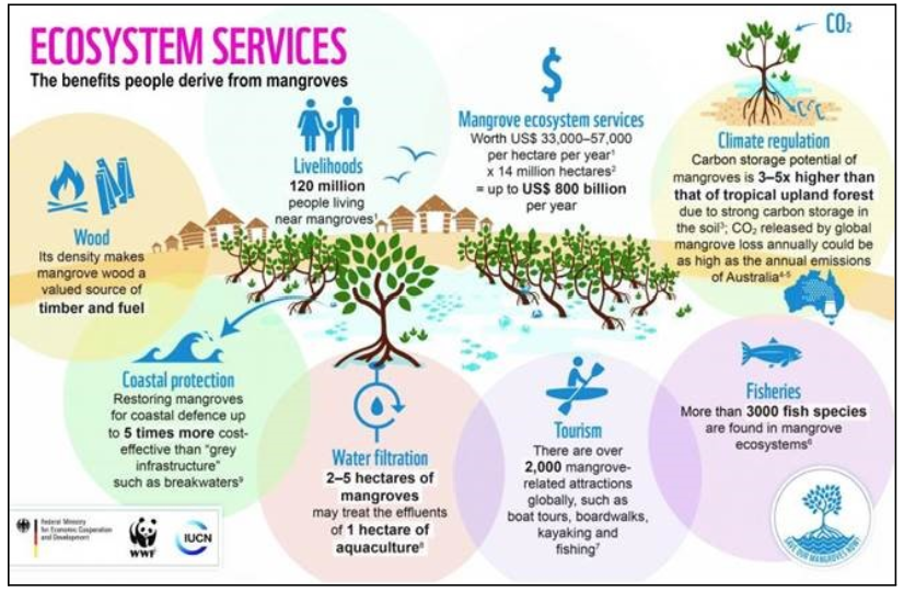 ecosystems-services