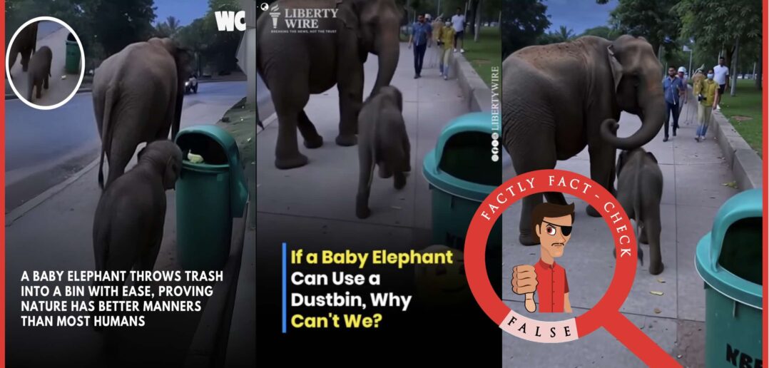 Baby-elephant-throwing-a-tin-into-the-dustbin-Thumbnail-1078x516.jpg